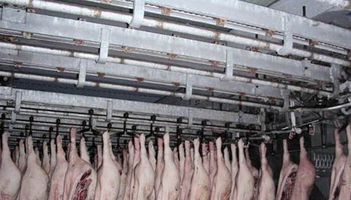 قیمت زنجیر کشتارگاهی