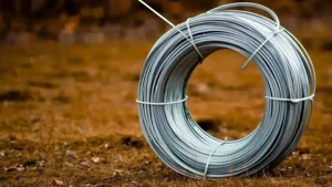 طول عمر و دوام