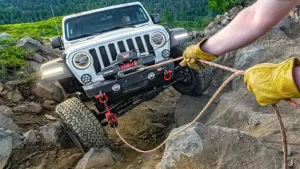 راهنمای کامل وینچ